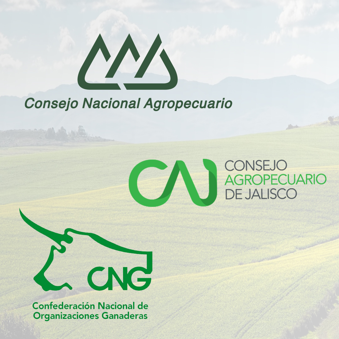 Sales Development and Training - AGROMG | Soluciones de Agronegocios